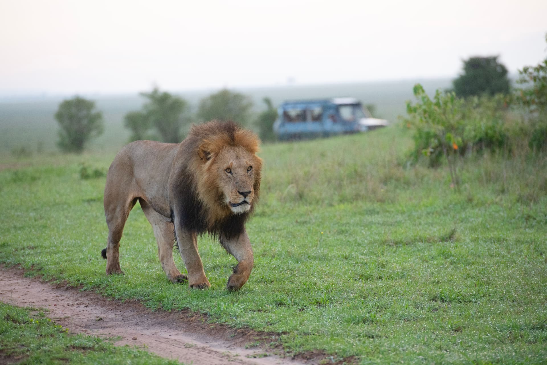 The Barmy Army Invasion – Arrive in Johannesburg & The Big 5 Welcome